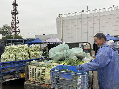北京新发地市场 助推商户打造农产品品牌，提升初级农产品价值