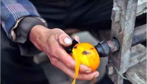 初级农产品 农业行业利润的隐形“收割机”