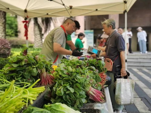 高温送清凉 菜篮守安康——便民市集让平价菜与优质农产品走进社区