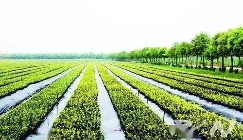 现代农业生产技术入门 初级农产品生产的基础知识