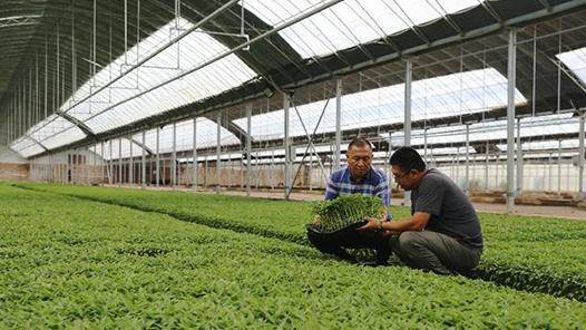 漯河首创农民职称评审 初级农产品获认证新通道