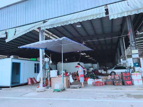 南充川北农产品交易中心 区域农产品流通的重要枢纽