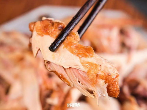 美食圈的隐藏BOSS 农业大学实验室与初级农产品的奇妙碰撞