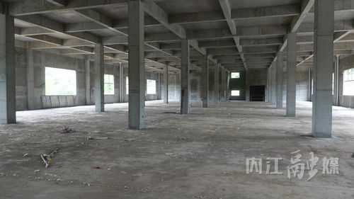 四川新奇味食品农产品加工项目 强产业促振兴，预计2026年春节前投产