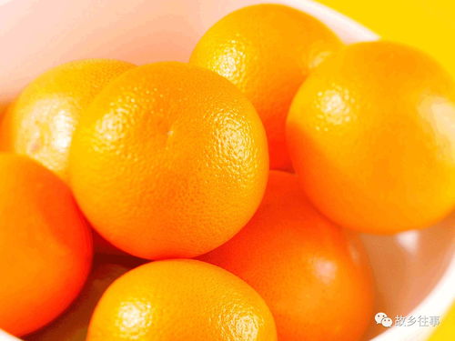 故乡的滋味 赣南脐橙11月12日正式开摘