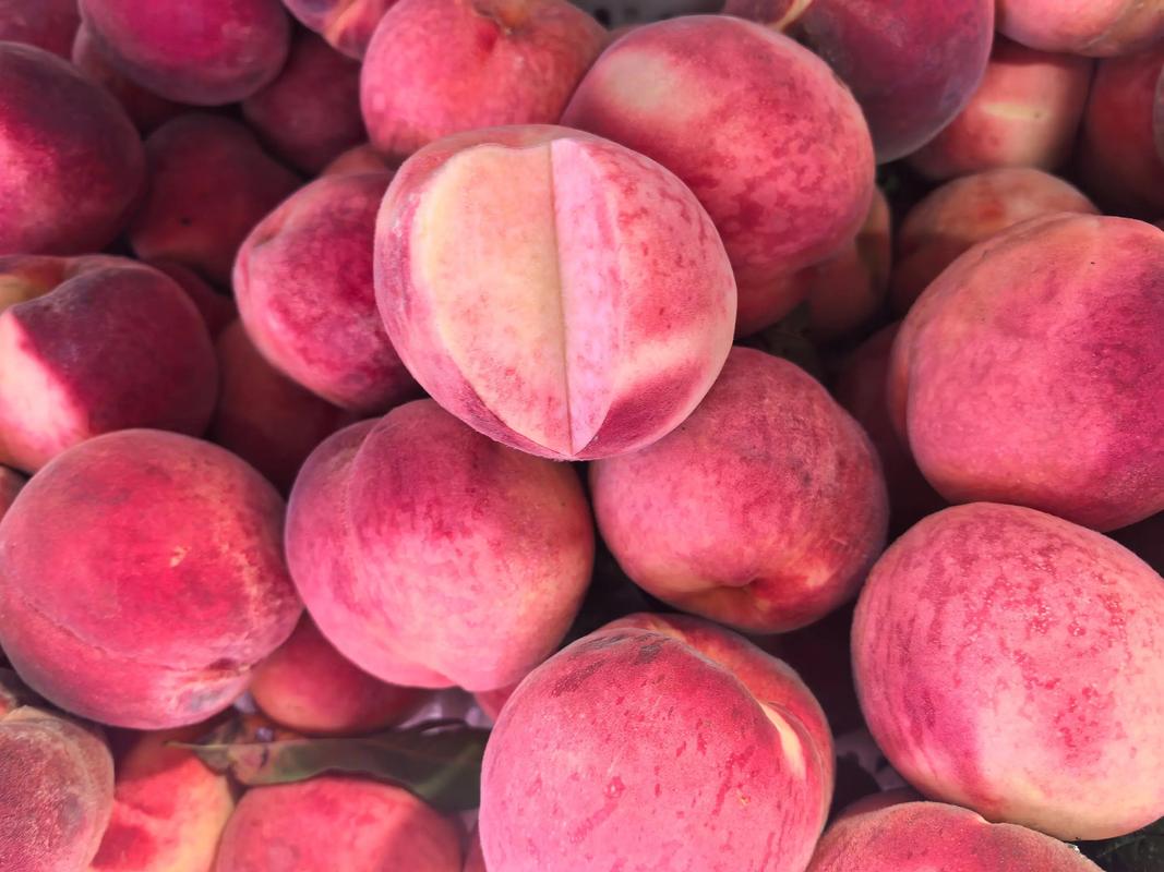 比领导都忙的优质初级农产品